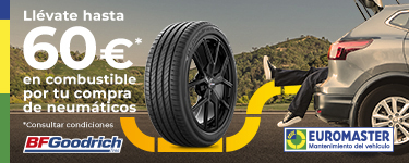 Euromaster BFGoodrich ES